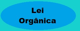 Lei orgânica.jpg